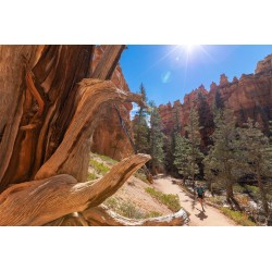 Trail running Utah - Arizona