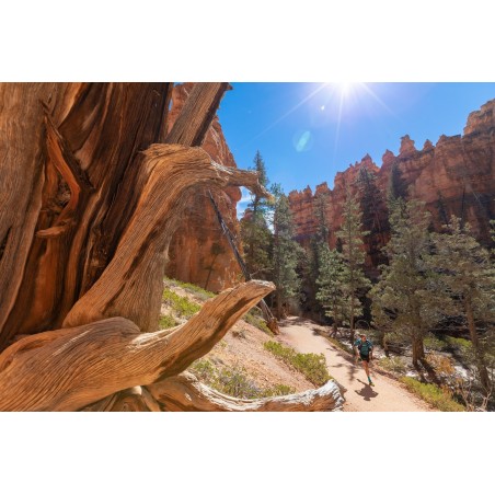 Trail running Utah - Arizona